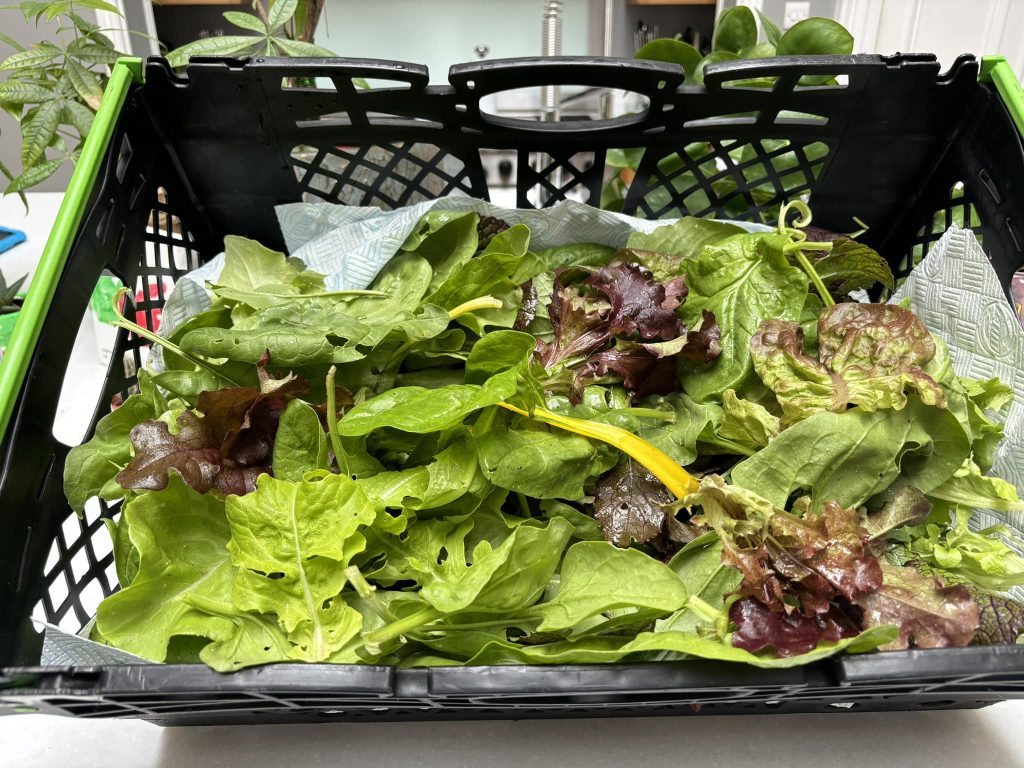 fresh produce